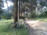 2013-04-27 09.30.40.jpg