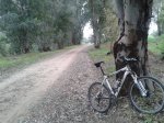 2013-04-27 10.15.56.jpg