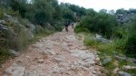 DSCN9368.jpg