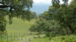 DSCN9558.jpg