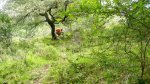 DSCN9574.jpg
