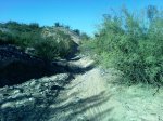 P120513_10.29.jpg
