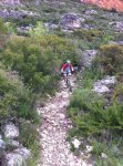 IMG-20130512-WA004.jpg