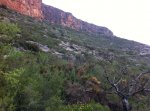 IMG-20130512-WA002.jpg