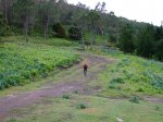 2007_05010026.JPG