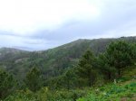 2007_05010015.JPG