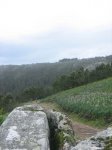 puentemayo2007 013.jpg