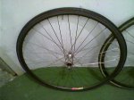 Fotillo-0002.jpg