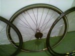 Fotillo-0003.jpg