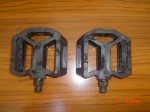 DSC05902.JPG