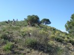miravete 22-04-07 033.jpg