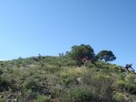 miravete 22-04-07 034.jpg