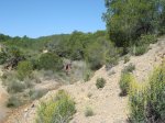 miravete 22-04-07 037.jpg