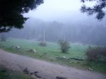 P0000116_redimensionar.JPG