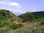 IMG_20130513_172512.jpg
