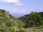 IMG_20130513_172526.jpg