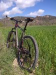 IMG-20130511-00379.jpg