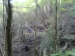 2013-05-13 10.38.13.jpg