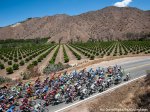 orchards620.jpg
