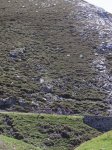 R0011085.JPG