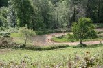 IMG_0641.JPG