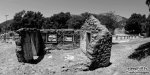 114737DSC_9599.jpg
