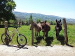 20130504_142718.jpg