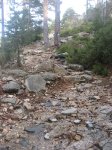 IMG_0165.jpg