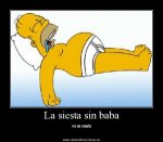 homer_simpson_sleeping11206.jpg