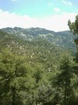 IMG-20130511-WA0075.jpg