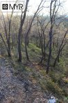 IMG_9048-copia.jpg