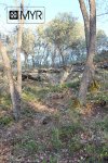 IMG_9049-copia.jpg