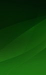 FONDO VERDE.jpg