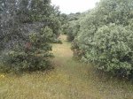 IMG_20130515_123029.jpg