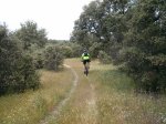 IMG_20130515_131654.jpg
