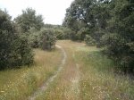 IMG_20130515_131657.jpg