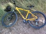 felt q220 mountain bike 2008