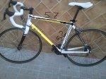 Foto0533 - copia.jpg