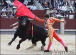 TOROS02.jpeg