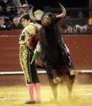 TOROS03.jpeg