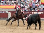 TOROS04.jpeg