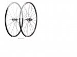 bontrager.jpg