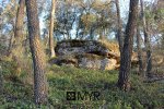 IMG_9052-copia.jpg