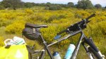 IMG-20130516-WA0002.jpg