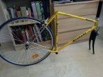 bici3.jpg