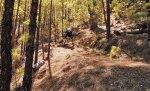 DSC01552.JPG