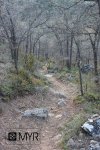 IMG_9061-copia.jpg