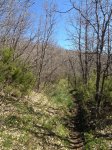 IMG_4623.jpg