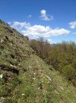 IMG_4643.jpg