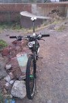 IMAG0442_opt.jpg
